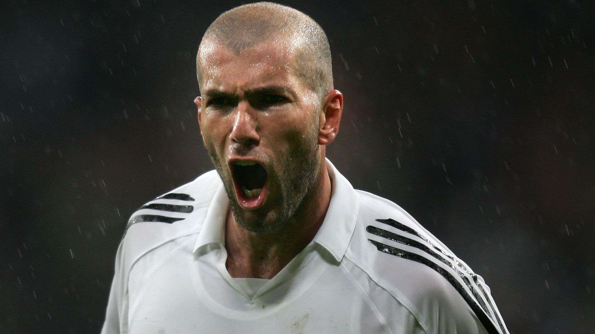 导层的变化 导层的变化